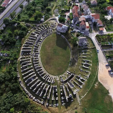 Laurus * Solin