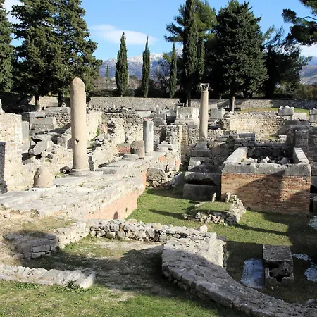 Laurus * Solin